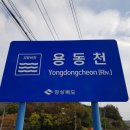 용동천 이미지