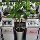 메디랜드 이미지