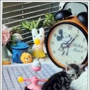 아담스펫 강아지분양 고양이분양 창원점 이미지