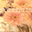 에스지컴퍼니 이미지