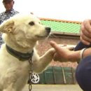 자기감정연구소 이미지