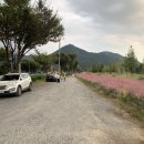 논공공단주유소 이미지