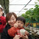 벧엘농장3 이미지