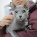 명지종합동물병원 이미지