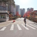 관저어반힐스 네이버블로그