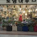 티라게스트하우스 이미지