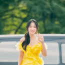 해바라기 헤어라인 이미지