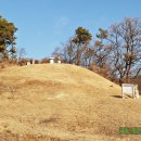 화평옹주 박명원 묘 및 신도비 티스토리