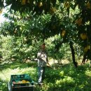 한별농장 이미지