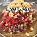 중앙프라자 | 광교중앙역 맛집 ‘소요일 광교점’ 양념 소갈비살 후기