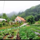 대강농장 이미지