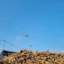 송림황토참숯굴찜질방 | 경상도여행지 원조지리산참숯굴찜질방 후기