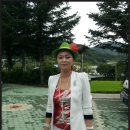 거창-고제-8 이미지