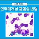 나우메디칼 이미지