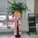 새당진공인중개사사무소 이미지