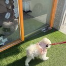 구멍가개 이미지