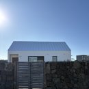 고양이 수염 | 제주 동쪽 감성숙소 '고양이 수염 A동' 내돈내산 후기