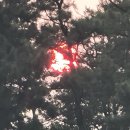 해넘이농장 이미지