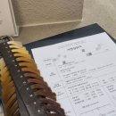 상봉미용실 추천 카이정헤어 상봉점 염색 시술 후기 (내돈내산)