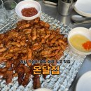 온달집 강남역점 | 강남 가성비 술집 야장 노포 맛집 온달집 강남역점