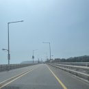 대부도 바다 애견 펜션 개꿀하우스 | 대부도 애견펜션 선재도 개꿀하우스 재방문 후기