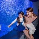 아쿠아플라넷63 이미지