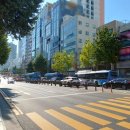 대연바다공인중개사사무소 | 부산 대연동 상가 임대, 대연역 1분 횡단보도 코너 22평대 1층 판매점