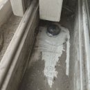 복대주은 이미지