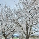 삼천대여소 이미지