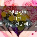 땡큐미 - 김해시 | 땡큐미