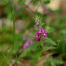 전체메일로 10월 꽃편지 발송했습니다! 이미지