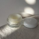 찐밤 | 피부 탄력 케어 [달팡에센스 오일밤] 예민 피부 진정템 “달팡 퓨리파잉밤“ 찐 후기