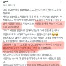 2319 | 호주 멜버른 근교여행 그레이트오션로드투어 가격 할인팁 꼭 가야함