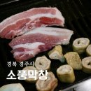 소풍막창 | 경주 현지인 맛집 소풍막창 돼지막창 생삼겹살 우삼겹된장찌개 후기