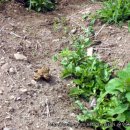 주헌농장 이미지