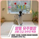 유주별장 | 양평 유주별장 &#39;나동&#39; - 통창 산뷰 프라이빗 자쿠지 숙소 후기