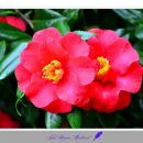 이로움메디컬 이미지