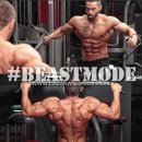 윌 휘트니스 이미지