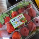 업돼지 | 겨울은 햄볶하다 그리고 주부가 된 나👩‍🍳👩‍🍳