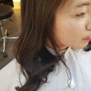 스테프라인업