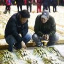 10월 15일, 횟감(우럭,민어,참돔) 참조기, 먹갈치, 파갈치, 풀치, 병어, 자랭이, 오징어, 잡어, 간재미, 수조기, 암대하, 마 이미지