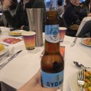 하버크루즈 | 시드니 트와일라잇 하버 디너크루즈 후기 (음식 메뉴 / 야경 외)