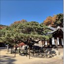 청와대길과 석파정(251116)---종합 이미지