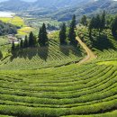 돌모리식당 이미지