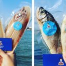 명주수산 이미지