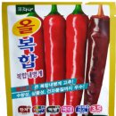 현대종묘농약사 이미지