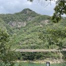옥순봉쉼터 | 제천 가볼만한곳 옥순봉 출렁다리 주차 입장료 소요시간