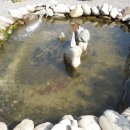 강변민박 이미지