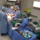 도아메디칼 이미지