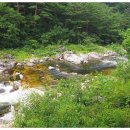 소나무쉼터 민박 이미지